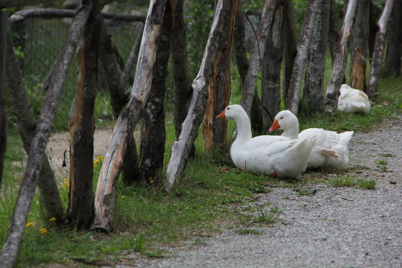 Albergo Lago Verde Pennabilli Eksteriør billede